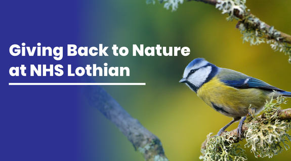 Giving Back to Nature